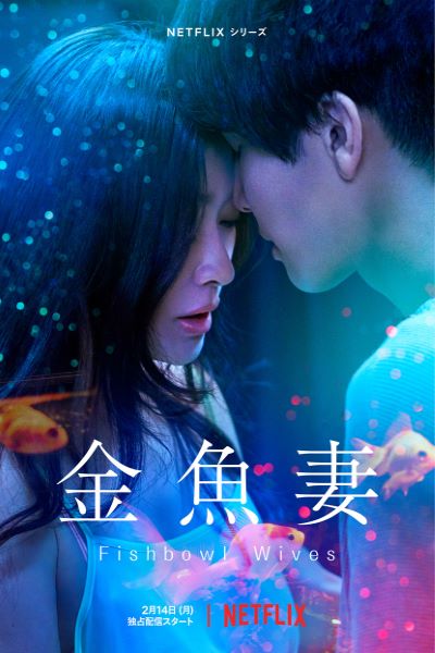 Download Fishbowl Wives (Season 1) Dual Audio {Hindi-English} NetFlix WEB Series 480p | 720p | 1080p WEB-DL ESub