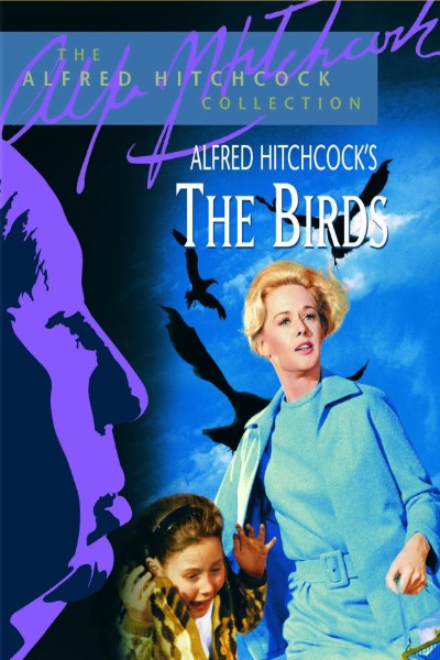 Download The Birds (1963) Dual Audio {Hindi-English} Movie 480p | 720p | 1080p Bluray ESub Download The Birds (1963) Dual Audio {Hindi-English} Movie 480p | 720p | 1080p Bluray ESub